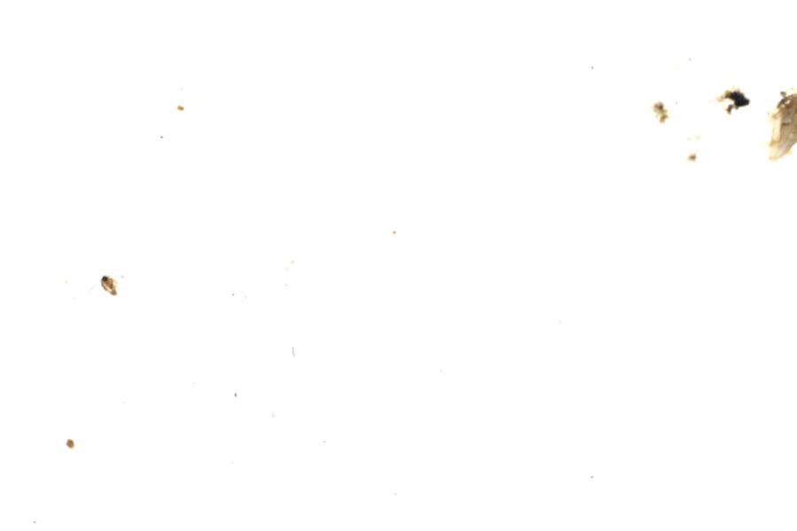 Image 76